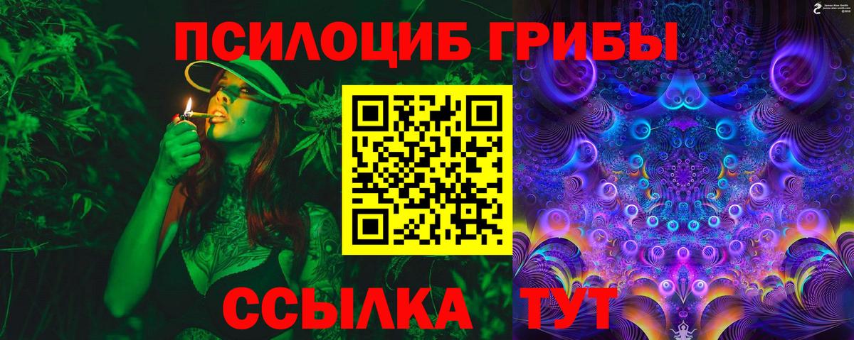где купить   Вход с VPN  Заволжье  Псилоцибиновые грибы прущие грибы 