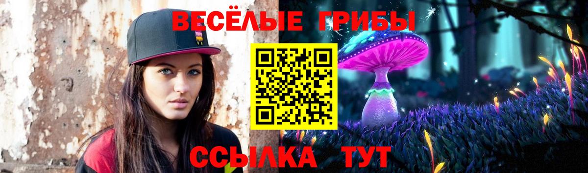 Псилоцибиновые грибы Psilocybe Заволжье